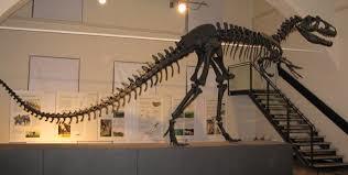 Museo Civico di Scienze Naturali di Bergamo